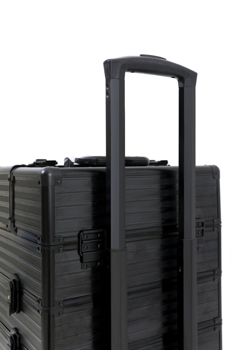 Bombay Hand Luggage